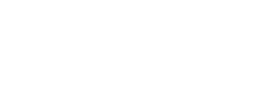 Storyline digital marketing logo